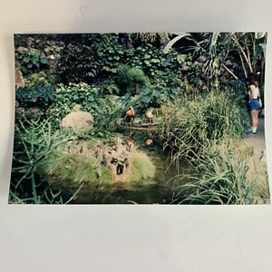 Vögel Garten Wasser International Reise Farb Vintage Foto Echtfoto - Bild 1 von 2