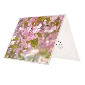 Voice Recording Card Personalized Greeting Card DIY Memorable Moment Writeable - Picture 1 of 18