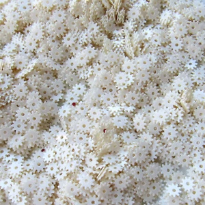 Sequins Light Cream Gears / Spokes 5mm ~500 pieces Loose High Quality - Picture 1 of 2