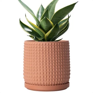 6 Inch Terracotta Beaded Planter Pot - Flower Pot with Drainage Hole and Sauc... - Picture 1 of 7