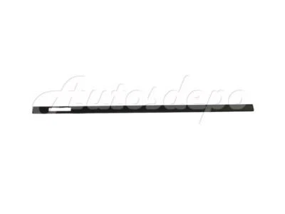 MOLDURA PUERTA DELANTERA IZQUIERDA BMW E39 M5 2000-2003 NEGRO Foto 1 de 4