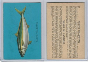V339-19 Parkhurst, Fish, 1962, #15 Pacific Yellowtail