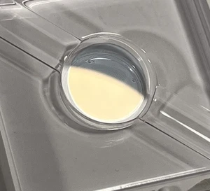 CVI solid Etalon Ø1" for 890nm 0.3mm thick 20%R - Picture 1 of 4