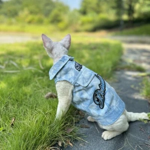 Frühling und Herbst Cowboy bestickte Weste Sphinx haarlose Katze deutsche Kleidung - Bild 1 von 17
