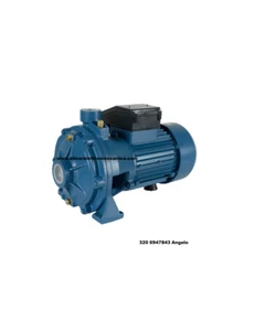 1,5 HP 150 lt/min 52 m RB150M Elettropompa Centrifuga Bigirante Monofase - Imagen 1 de 1
