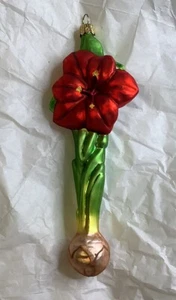 The Museum Collection Hand Blown Glass Poland Amaryllis Flowering Ornament Red - Picture 1 of 6