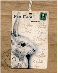 Hang Tags BUNNY RABBIT POSTCARD EASTER SPRING TAGS #20 Gift Tags - Picture 1 of 4