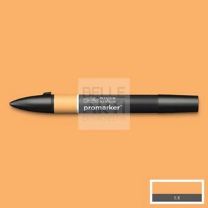PENNARELLO PROMARKER - APRICOT O538 - Imagen 1 de 1