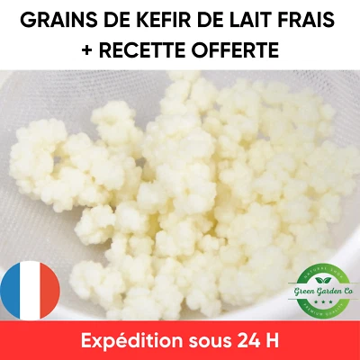 Kéfir de lait Kit de démarrage de Culture Recette complète incluse 10g - Bild 1 von 2
