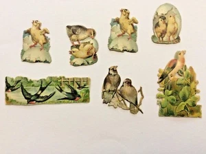 Découpis / Chromos anciens Groupe d'Oiseaux Poussins décor XIXeme 2-G-4 - Picture 1 of 1