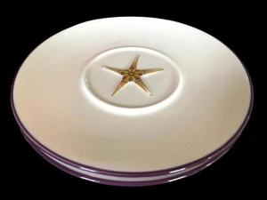 Starbucks Coffee Co Holiday 2006 Set of 2 Holiday Plates - Picture 1 of 5