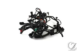Telar arnés de cable principal Triumph Thruxton 900 09-16 - Imagen 1 de 4