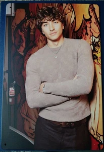GAVIN CASALEGNO 8X12 Tin Sign Actor Sexy The Summer I Turned Pretty - Picture 1 of 2
