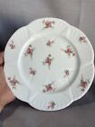 Vintage Shelley ?Bridal Rose? 13545 Plate Fine Bone China Made In England