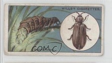 1922 Wills Do You Know Tobacco why the Glow-worm Glows? #21 00gy