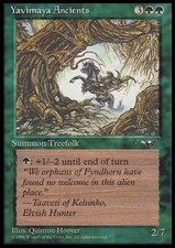 Magic the Gathering MTG Yavimaya Ancients (104b) Alliances   LP