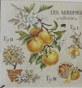 Les Brodeuses Parisienne By Veronique Enginger Cross Stitch Pattern oranges. - Picture 1 of 3