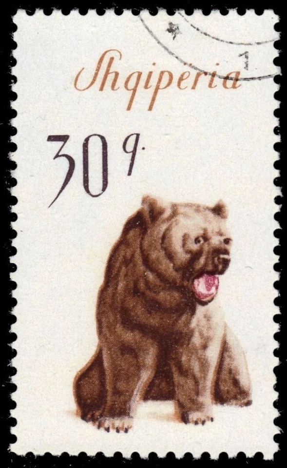 ALBÂNIA 886 - Urso marrom europeu "Ursus arctos" (pb68476) - Imagem 1 de 1