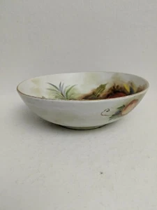 Vintage Ironstone Hand Painted Fruit  Serving Bowl 9.25" - unknown brand - Picture 1 of 12