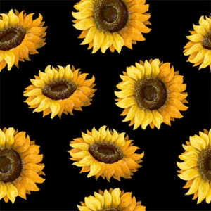 Sunflowers All Over - Picture 1 of 1