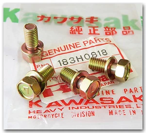 KAWASAKI PARTS KLF220 KLF250 KLF300 BAYOU 220 250 300/4X4 FOOT PEG BOLTS QTY.4 - Picture 1 of 1