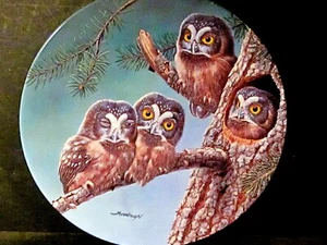 Thornbrugh 1991 BEGINNING TO EXPLORE BOREAL OWLS Ltd Ed Plate - Picture 1 of 2