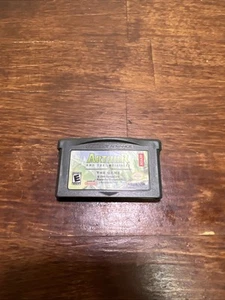 Arthur and the Invisibles (Nintendo Game Boy Advance, 2007) - Picture 1 of 2