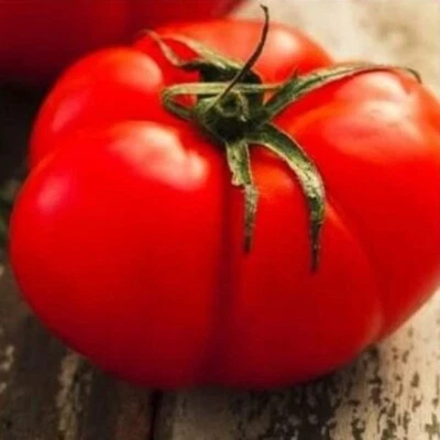 Beefsteak Tomato Seeds | Heirloom Tomato Seeds | Fresh NON-GMO Vegetable Seeds - Image 1 of 2