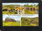 D2408 UK Dartmoor Multiview Pony Bridge pu1979 postcard