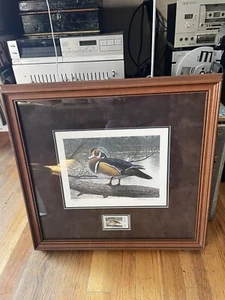 Nevada Duck Stamp & Print Tak Nakamura 1995 Framed Signed Numbered Mint! Rare! - Picture 1 of 19