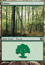 FOREST #349 X4 4 4X 9th Edition MTG Magic the Gathering Cards DJMagic