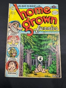 Home Grown Funnies #1.....Küchenspüle 1972.......1st Print.....Crumb - Bild 1 von 3