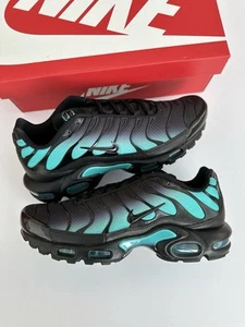 Nike Air Max Plus TN Black Dusty Cactus DM0032-016 UK 7 Brandneu - Bild 1 von 5