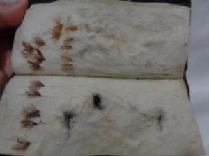 Antique Fishing 47 Hand Tied Flies in Leather Wallet Turn of Century Fly Fishing - Picture 1 of 10