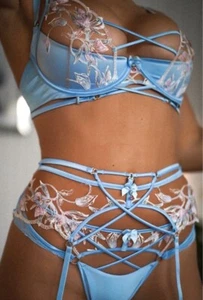 REGGISENO E BRETELLE MEDIE E SLIP HONEY BIRDETTE BABY BLUE EVANGELINE 34C NUOVO CON ETICHETTE - Foto 1 di 11