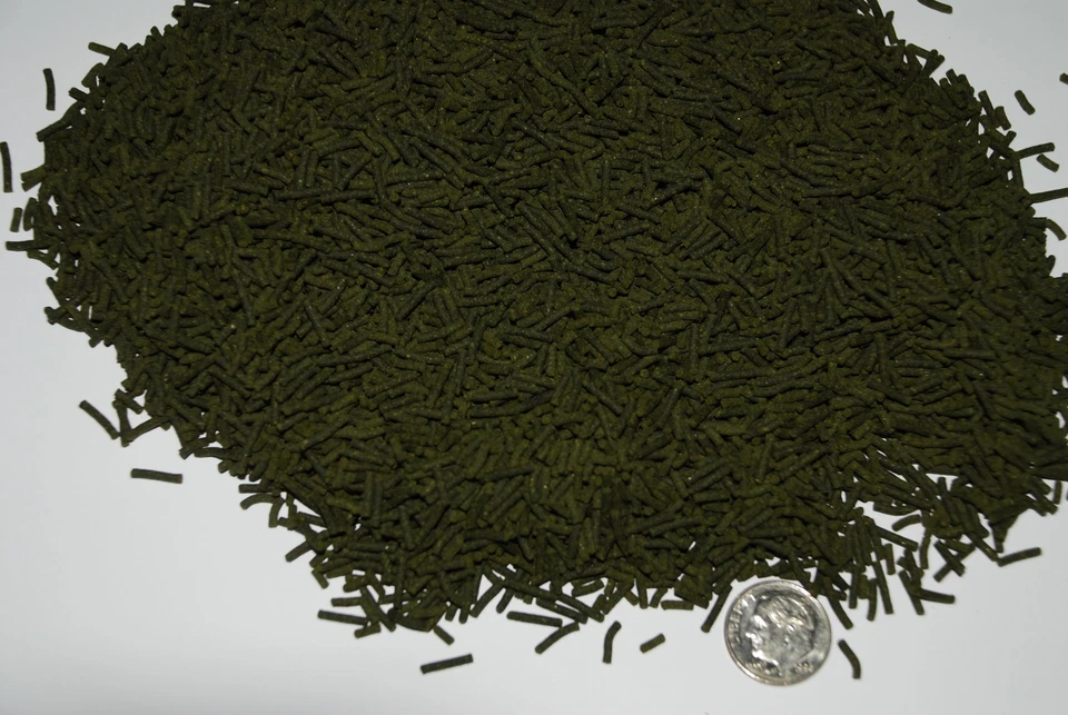 Mini palos Ken's Ultra Spirulina Foto 1 de 1