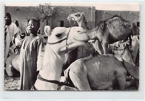 Malí - GAO - El mercado de animales - Publ. Changeux - - Malí - GAO - Le marché aux a - Imagen 1 de 2