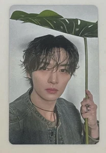 Tarjeta fotográfica limitada Straykids Lee Know Hollow Venue PC tarjeta fotográfica SKZ Stray kids - Imagen 1 de 4
