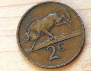 1980 South Africa 2 Cents Wildebeest - Picture 1 of 2