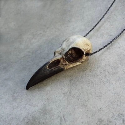 Bone Jewelry Raven Skull Necklace, Viking Pendant Bird Gothic Oddities Jewelry - Image 1 of 4