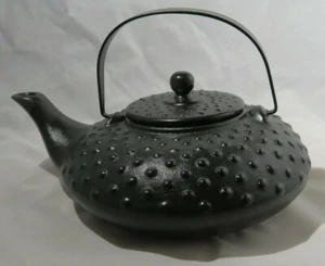 BOSTON WAREHOUSE STONEWARE HOBNAIL TEAPOT WITH CAST IRON LOOK - Picture 1 of 10