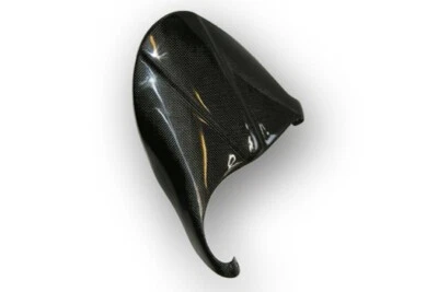 ILMOTOSHOP CARBON PARAFANGO POSTERIORE CARBONIO 100% DUCATI MONSTER S2R 800 S2R S4R S4RS 1000