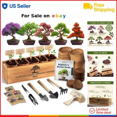 Bonsai Tree Kit Indoor Gardening Tools Seeds Complete Starter for Beginners - Image 1 of 4