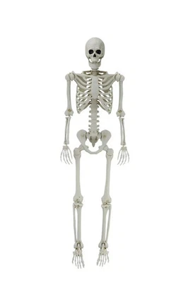 White Poseable Skeleton Decoration, Halloween Outdoor Decor