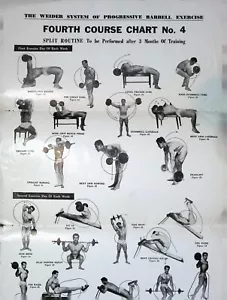 Vintage 1950s Weider System Barbell Exercise Chart No. 4 Split Routine - Picture 1 of 3