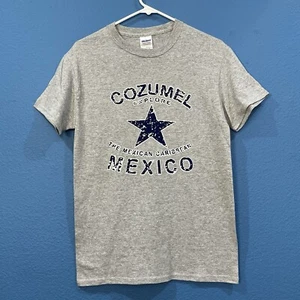 Gray And Blue Cozumel Mexico Graphic Shirt Star Size Small Gildan Tag - Picture 1 of 12