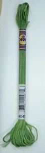 DMC Colour Variations Thread Embroidery Floss, Colour 4045 Evergreen Forest - Imagen 1 de 1