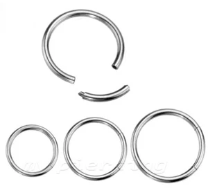 18 g Stahl Segmentring Ohrring Labret Septum Knorpel Nasenring 1/4" 5/16" 3/8" - Bild 1 von 2