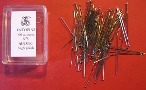 38mm x 0.60mm 100 pins Size 5 STAINLESS STEEL ENTOMOLOGY / INSECT PIN SOLID HEAD - Picture 1 of 3