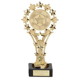 Set of 10 Star Gold Trophy Award School Star of the Week Winner FREE Engraving - Picture 1 of 1